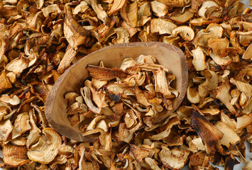 bowl of dried mushrooms