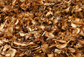 dried mushrooms background