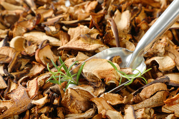 scoop of dried mushrooms