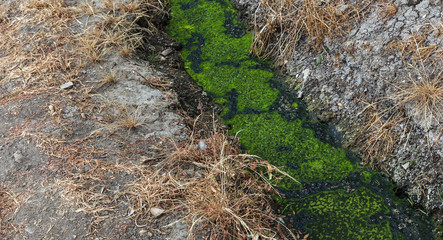Dirty sewage along with sewage in an open ditch along the street. Dirty drainage, an open sewer...