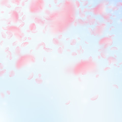 Sakura petals falling down. Romantic pink flowers falling rain. Flying petals on blue sky square bac