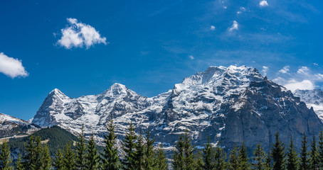 Alps panorama from Murren