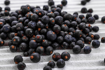 dried juniper berries on a white background