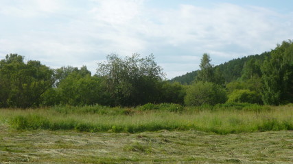View of a green field with half mown grass and a forest covering a small mountain
