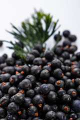 dried juniper berries on a white background