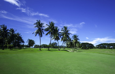 Clean and beautiful golf course during blue sky day.