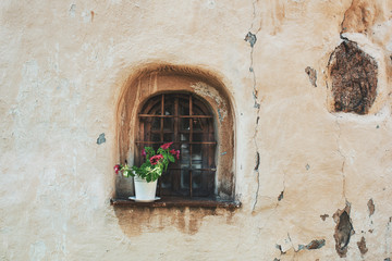 Ancient window with flower pot