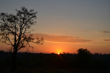 Sunset in Africa savannah