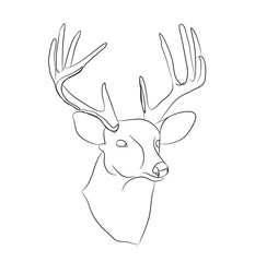 deer portrait lines, vector