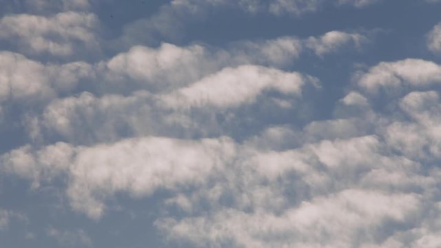Clouds Flowing Upwards like Waves in the Sky. Weather Time-Lapse