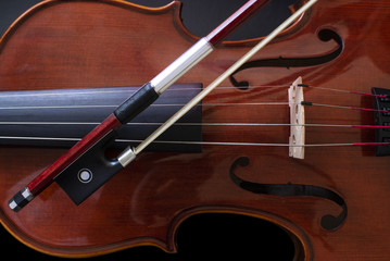 Fototapeta premium Violin 2