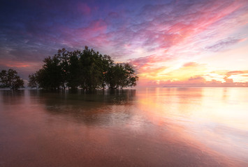 Fototapeta na wymiar seascape with isolated trees on the water during sunrise. soft focus due to long expose.