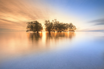 Obraz premium seascape with isolated trees on the water during sunrise. soft focus due to long expose.