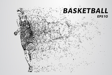 Fototapeta na wymiar Basketball of the particles. A basketball player consists of circles and dots.