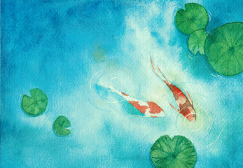 Koi Fish Watercolor Photos Royalty Free Images Graphics Vectors