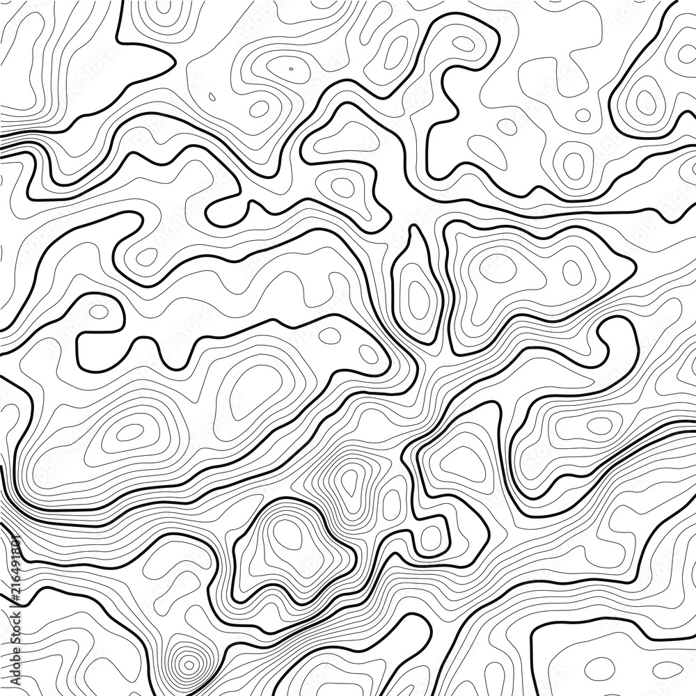 Poster topographic map background. grid map. contour map vector. business concept. abstract vector illustra
