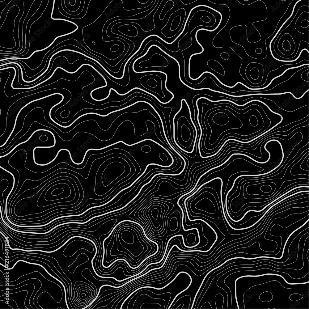 Poster topographic map background. grid map. contour map vector. business concept. abstract vector illustra