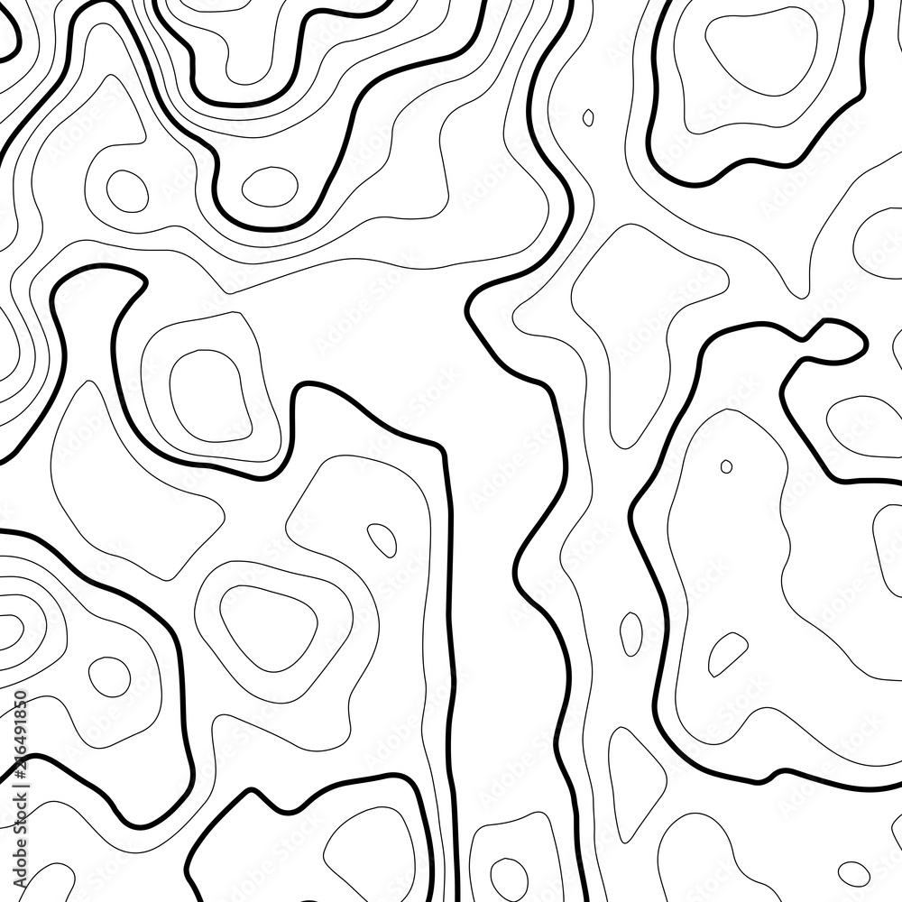 Poster topographic map background. grid map. contour map vector. business concept. abstract vector illustra