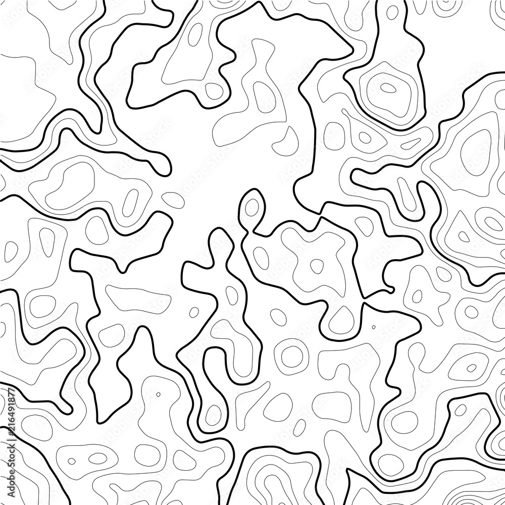 Poster topographic map background. grid map. contour map vector. business concept. abstract vector illustra