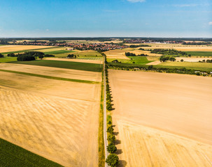 Aerial view from a straight dirt road, which is designed as an avenue with a row of trees, to a village on the horizon