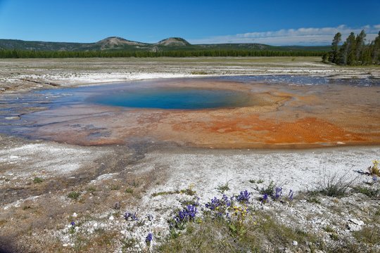 Opal Pool