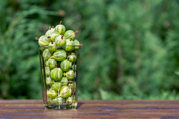 Fresh harvest of gooseberries in a glass