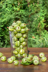 Fresh harvest of gooseberries in a glass