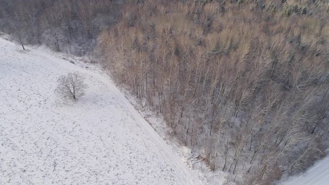 Aerial view: Winter landscape countryside with snow, forest, field, road. Feld, forest, trees covered with frost snow, Aerial footage. Winter country landscape