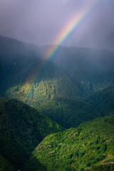 Natural Landscape Scenery of The Mountain Green Forest With Spectrum Rainbow, Nature Outdoor Scenic of Jungle and Colorful Rainbow at Rainy Season. Ecology of Rainforest Environmental