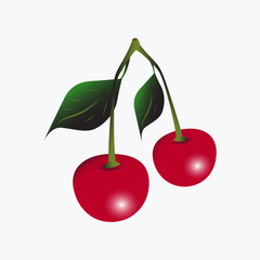 Cherry. Vector cherry sign on white background