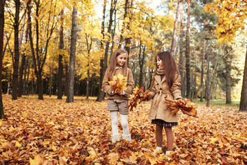 Two little sisters plays in the autumn leaves in park