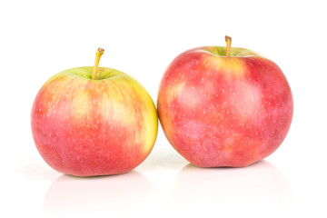 Group of two whole glossy fresh red apple james grieve variety isolated on white background