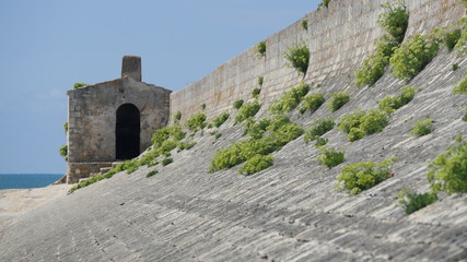 France - île de Ré