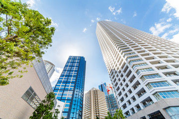 新緑とビル群