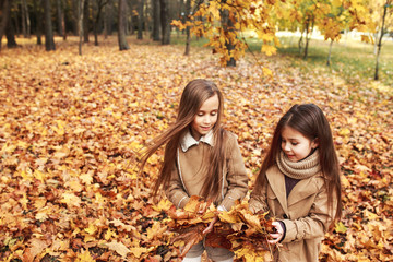 Two little sisters plays in the autumn leaves in park