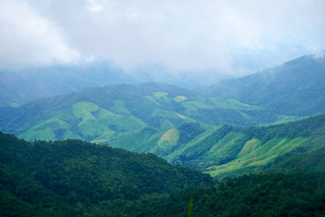 Mountain green landscape in winter.