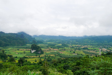 Mountain green landscape in winter.