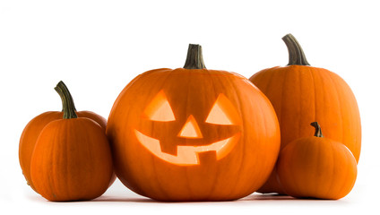 Halloween Pumpkins on white