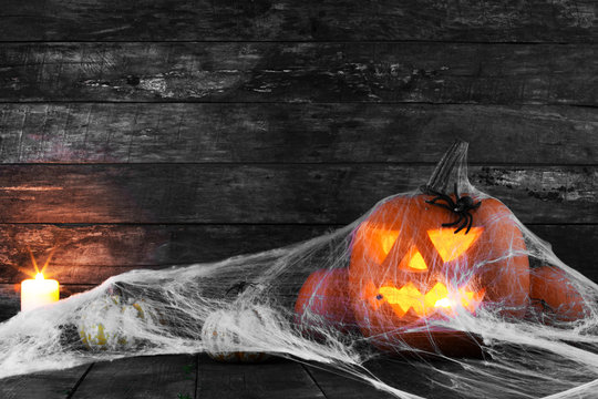Halloween pumpkin and spiders