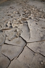 Trockenheit