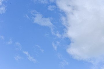 blue sky with white clouds for background.