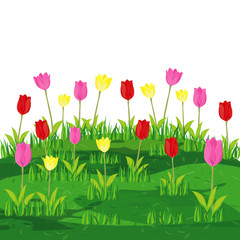 beautiful tulip flower vector design