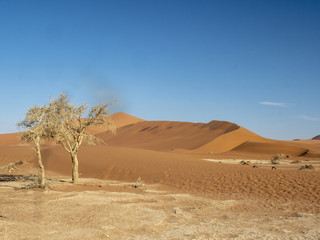 Fototapeta na wymiar Wind modeling sand, in Sossusvlei, Namibia