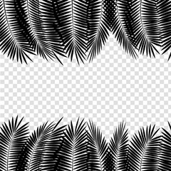 Black Palm Leaf on White Background. Vector Illustration