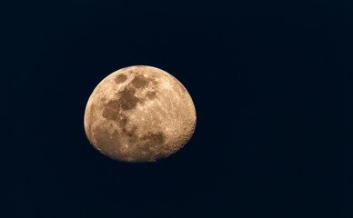 the moon