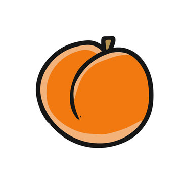 cartoon vector illustration peach
