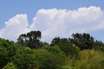 Obraz premium ５月の空