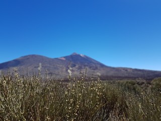 Tenerife El Teide