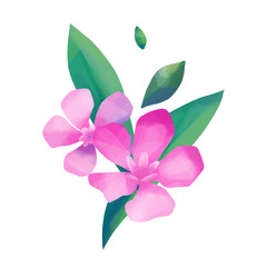 Pastel colored design with oleander flowers