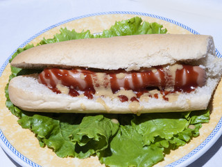 Pinchos de comida